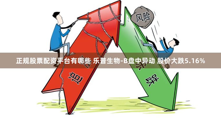 正规股票配资平台有哪些 乐普生物-B盘中异动 股价大跌5.16%