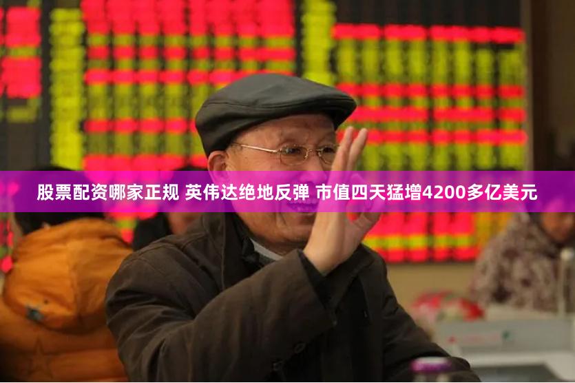 股票配资哪家正规 英伟达绝地反弹 市值四天猛增4200多亿美元