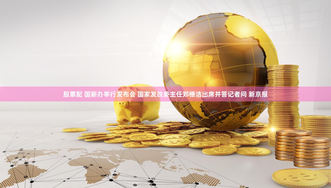 股票配 国新办举行发布会 国家发改委主任郑栅洁出席并答记者问 新京报