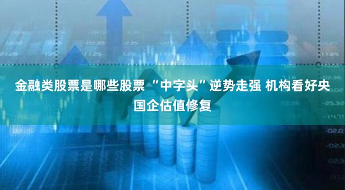 金融类股票是哪些股票 “中字头”逆势走强 机构看好央国企估值修复