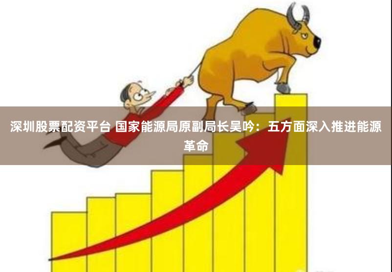 深圳股票配资平台 国家能源局原副局长吴吟：五方面深入推进能源革命
