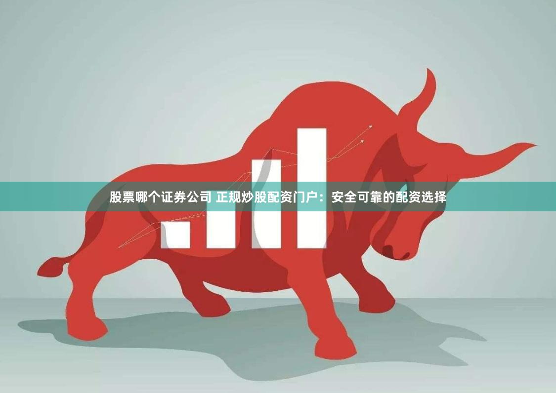 股票哪个证券公司 正规炒股配资门户：安全可靠的配资选择
