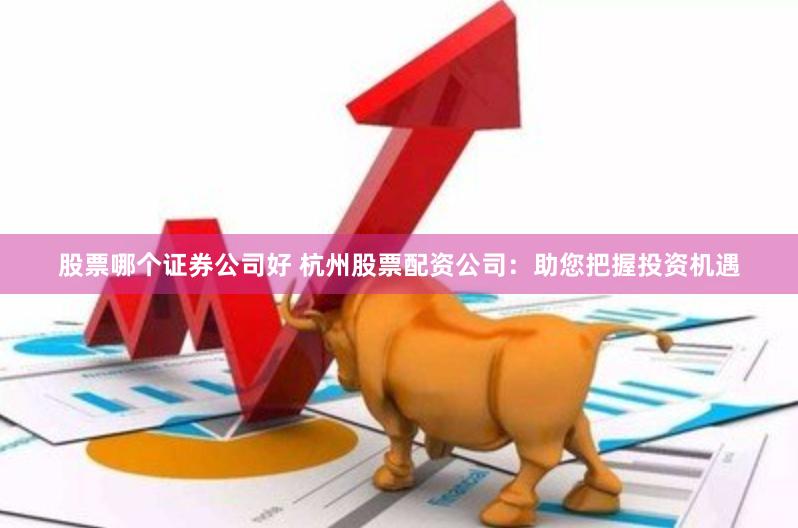 股票哪个证券公司好 杭州股票配资公司：助您把握投资机遇